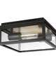 Chapman & Myers Freeport 10 Inch 2 Light Outdoor Flush Mount