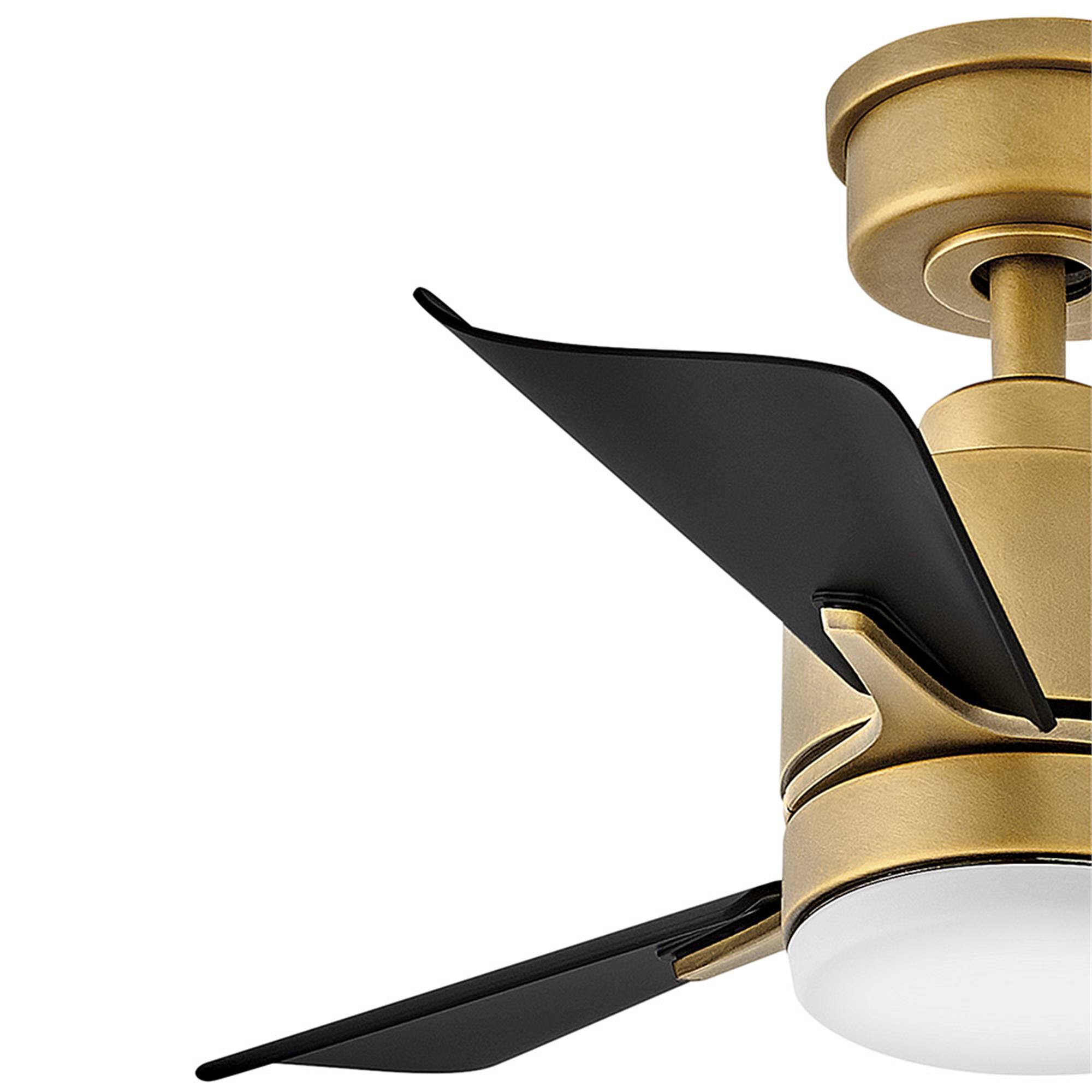 Atom 30 Inch Ceiling Fan