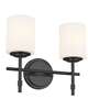 Ali 14 Inch Bath Vanity Light
