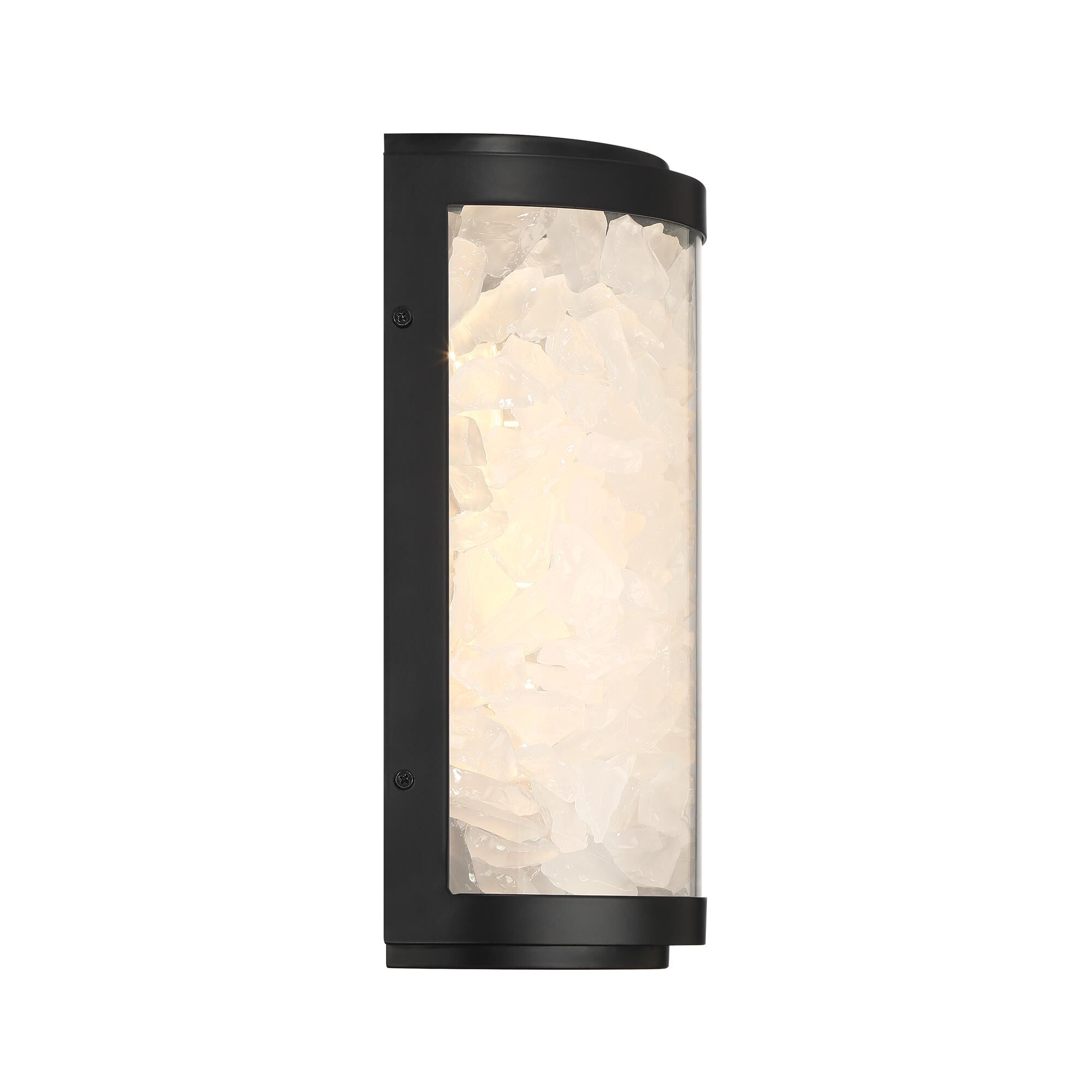 Salt Creek 13 Inch Outdoor Wall Light
