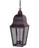 Imperial Medium Outdoor Hanging Lantern