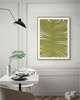 Botanicus Decem Print