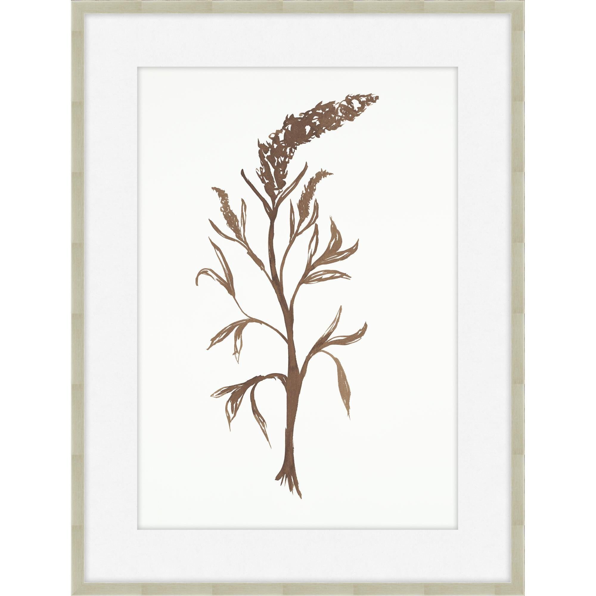 Drawn Delicacy Print