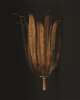 Eden Medium Wall Sconce