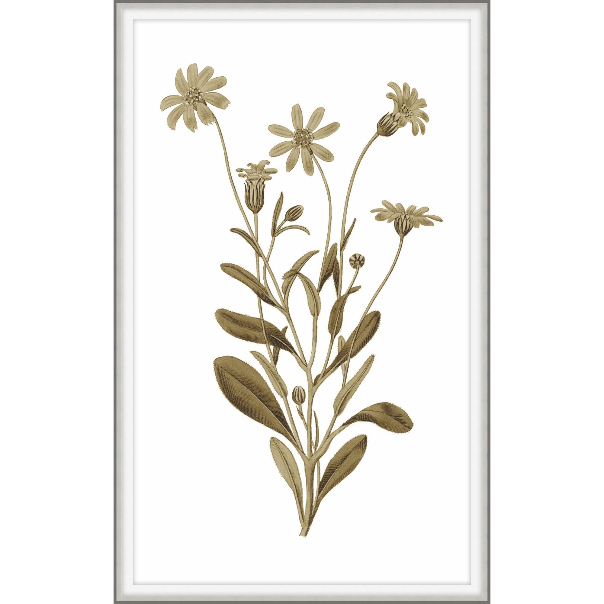 Sweet Preservation Print