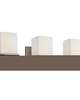 Tully 24 Inch Bath Vanity Light