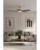 Cadena 65 Inch Ceiling Fan with Light Kit