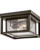 Republic 11 Inch 2 Light Outdoor Flush Mount