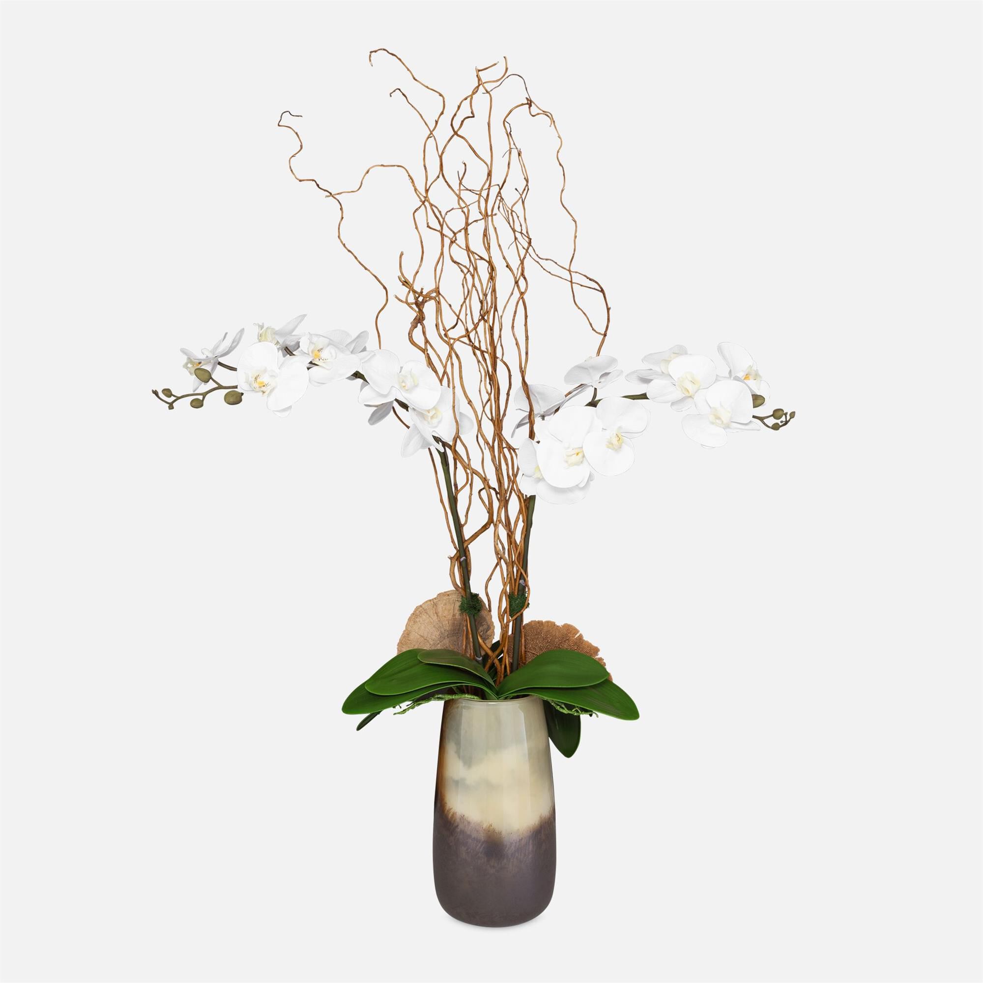 Earthbound Orchid Botanical
