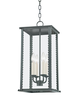Zuma Medium Outdoor Hanging Lantern