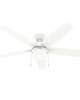 Anisten 52 Inch Ceiling Fan with Light Kit