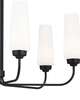 Truby 29 Inch Chandelier