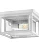 Republic 11 Inch 2 Light Outdoor Flush Mount