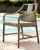 Newton Dining Chair