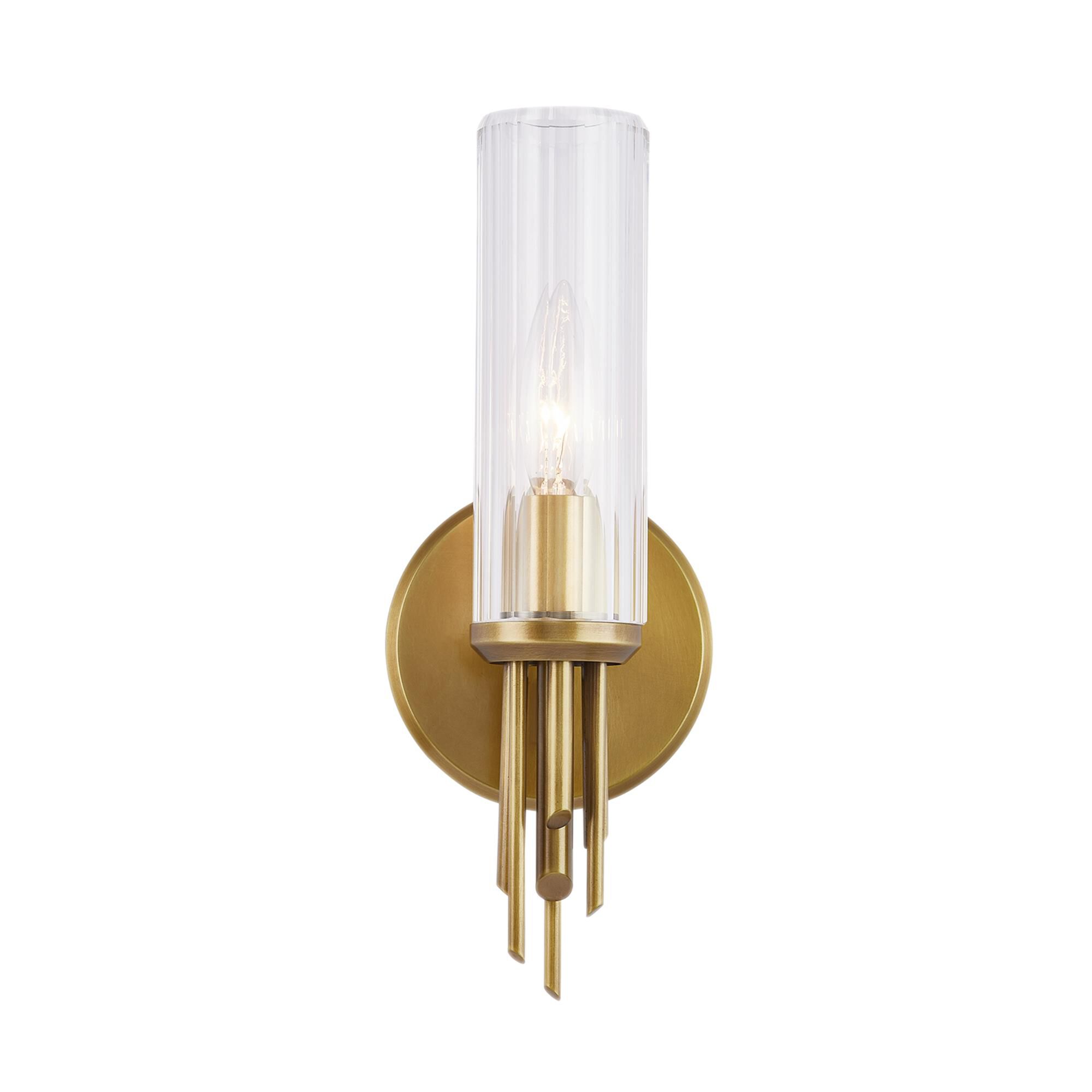 Elisa Carlucci Torres 12 Inch Wall Sconce