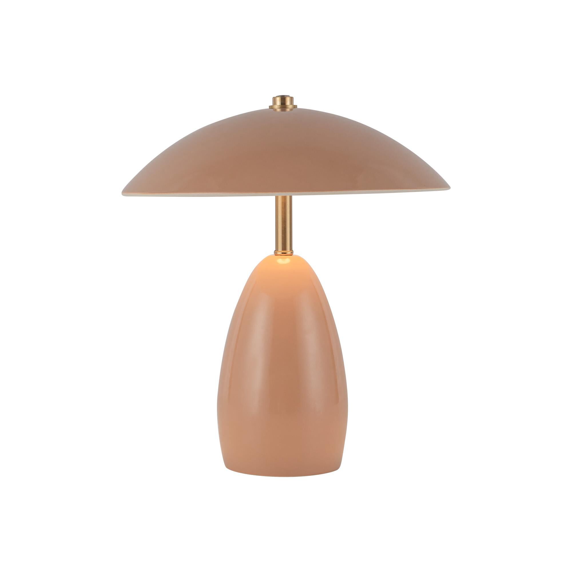 Haejung Roe Poppy 11 Inch Cordless Accent Lamp
