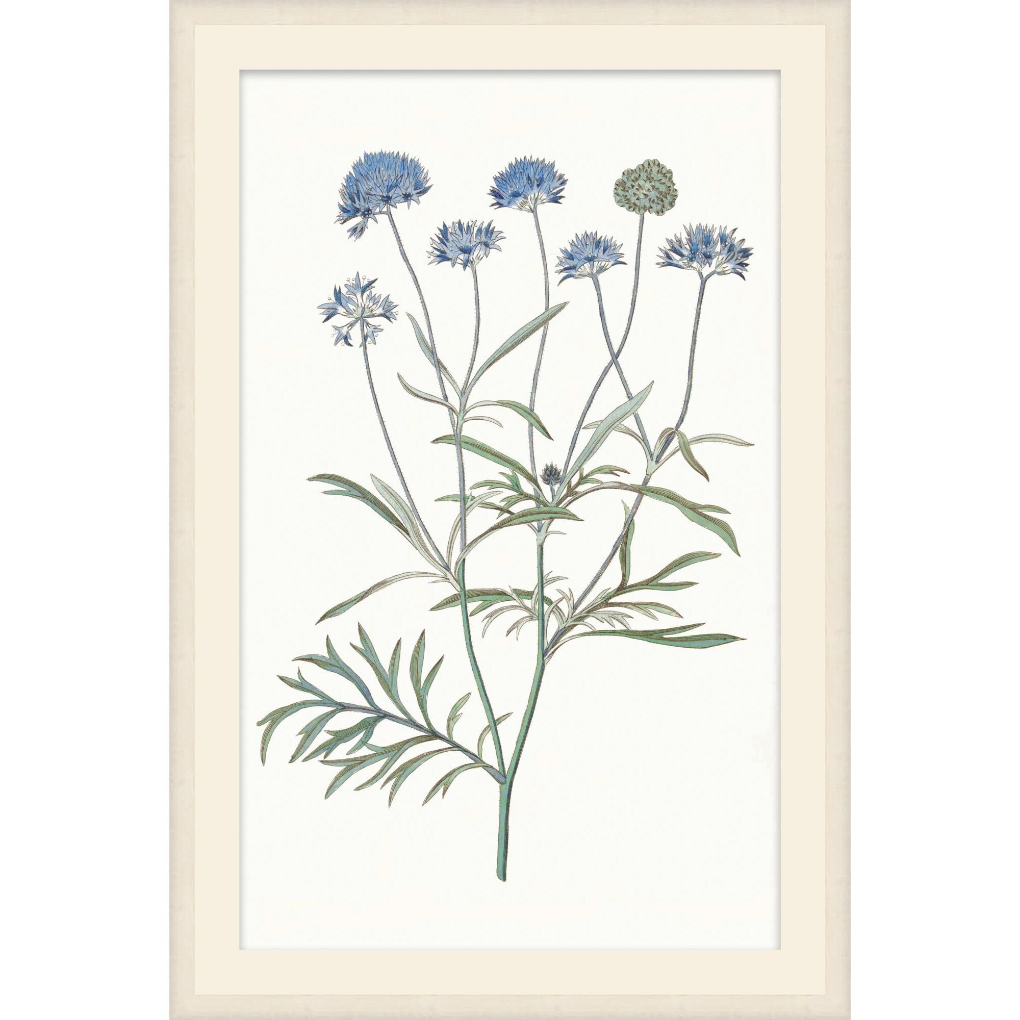 Sapphire Flora Print