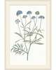 Sapphire Flora Print
