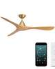 Carve 60 Inch Ceiling Fan with Light Kit