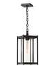 Cela 17 Inch Outdoor Hanging Lantern