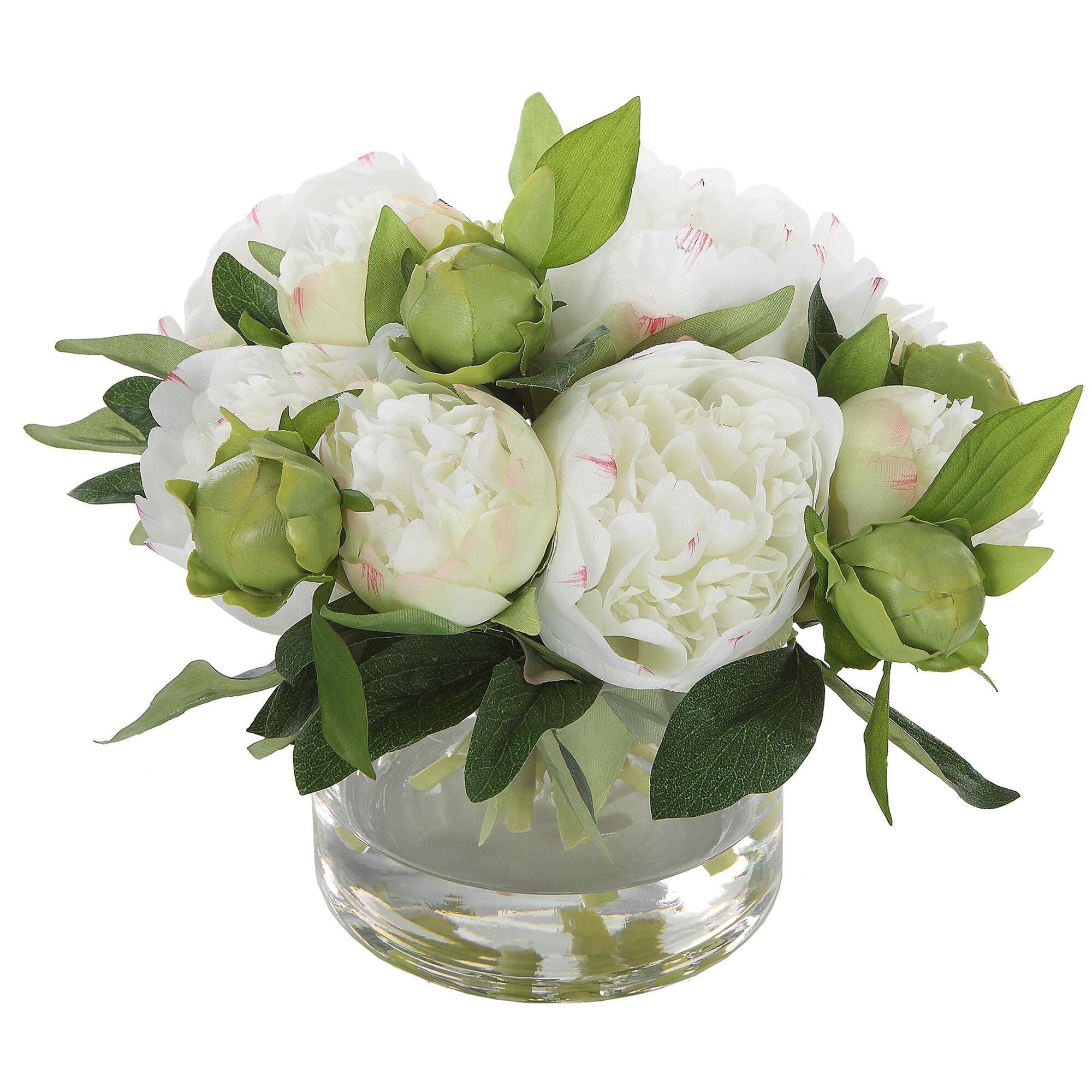 Garden Peony Botanical