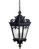 Tournai 25 Inch Outdoor Hanging Lantern