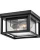 Republic 11 Inch 2 Light Outdoor Flush Mount