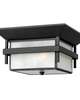 Harbor 12 Inch 2 Light Outdoor Flush Mount