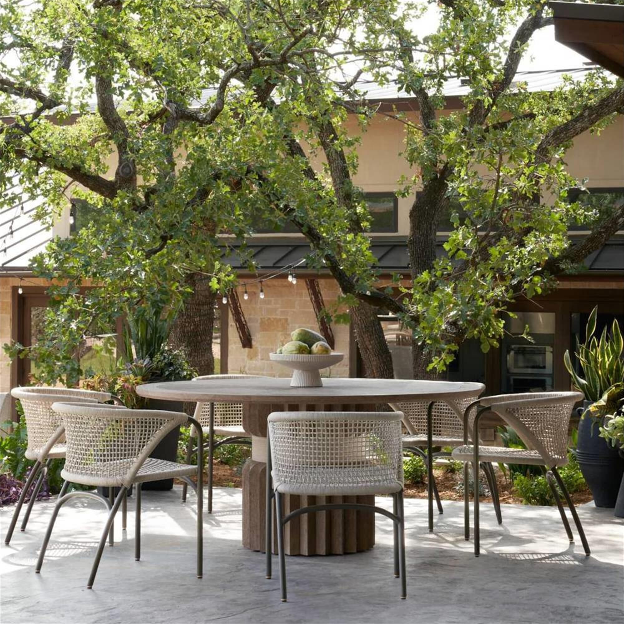 Enzo Dining Chair