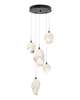 Chrysalis 16 Inch 5 Light Multi Light Pendant
