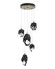 Chrysalis 16 Inch 5 Light Multi Light Pendant