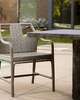 Newton Dining Chair