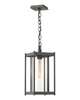 Cela 17 Inch Outdoor Hanging Lantern