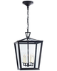 Chapman & Myers Darlana Medium Outdoor Hanging Lantern