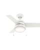 Aker 36 Inch Ceiling Fan with Light Kit