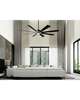 Aura 72 Inch Ceiling Fan with Light Kit