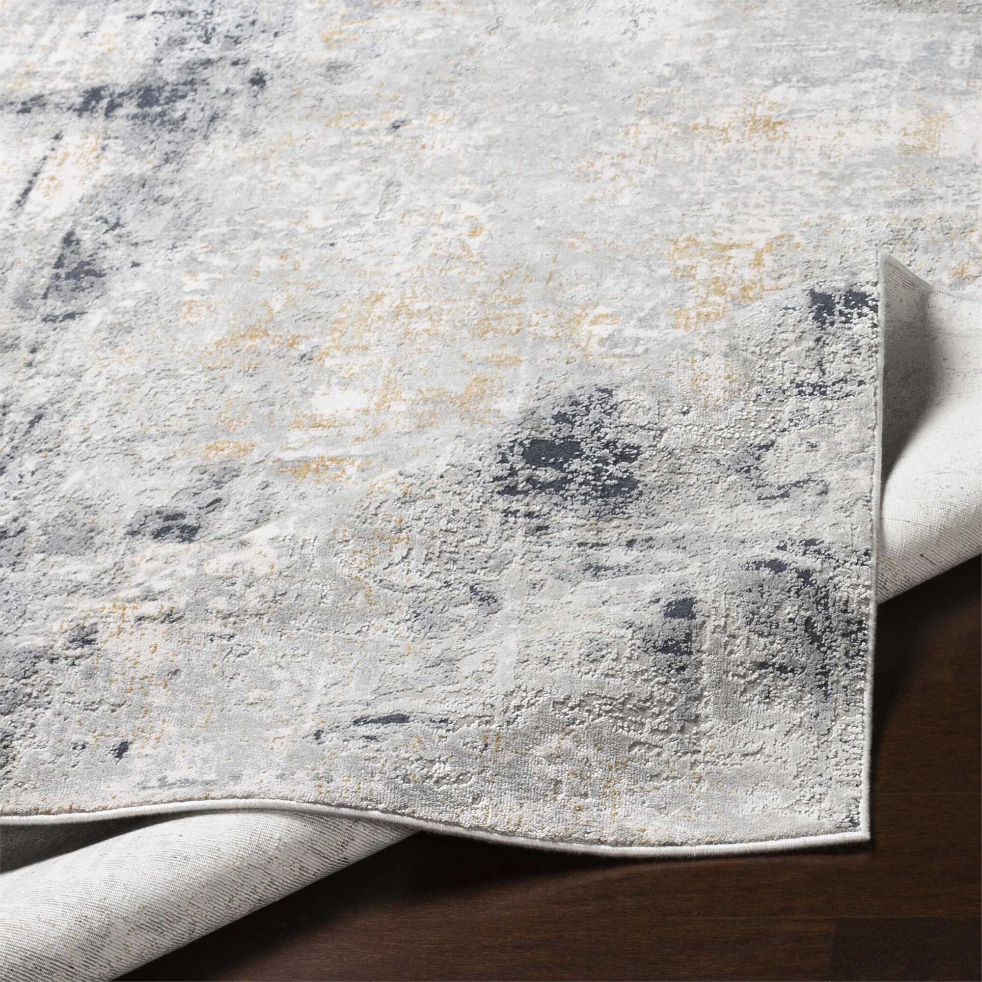 Paoli Machine Woven Area Rug