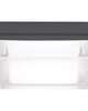 Boxie 5 Inch Outdoor Flush Mount