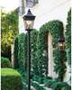 Chapel Hill Large Outdoor Hanging Lantern