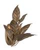 Seraphine Medium 2 Light Wall Sconce