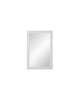 Danville 32 Inch Decorative Mirror