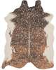 Bryce Power Woven Area Rug