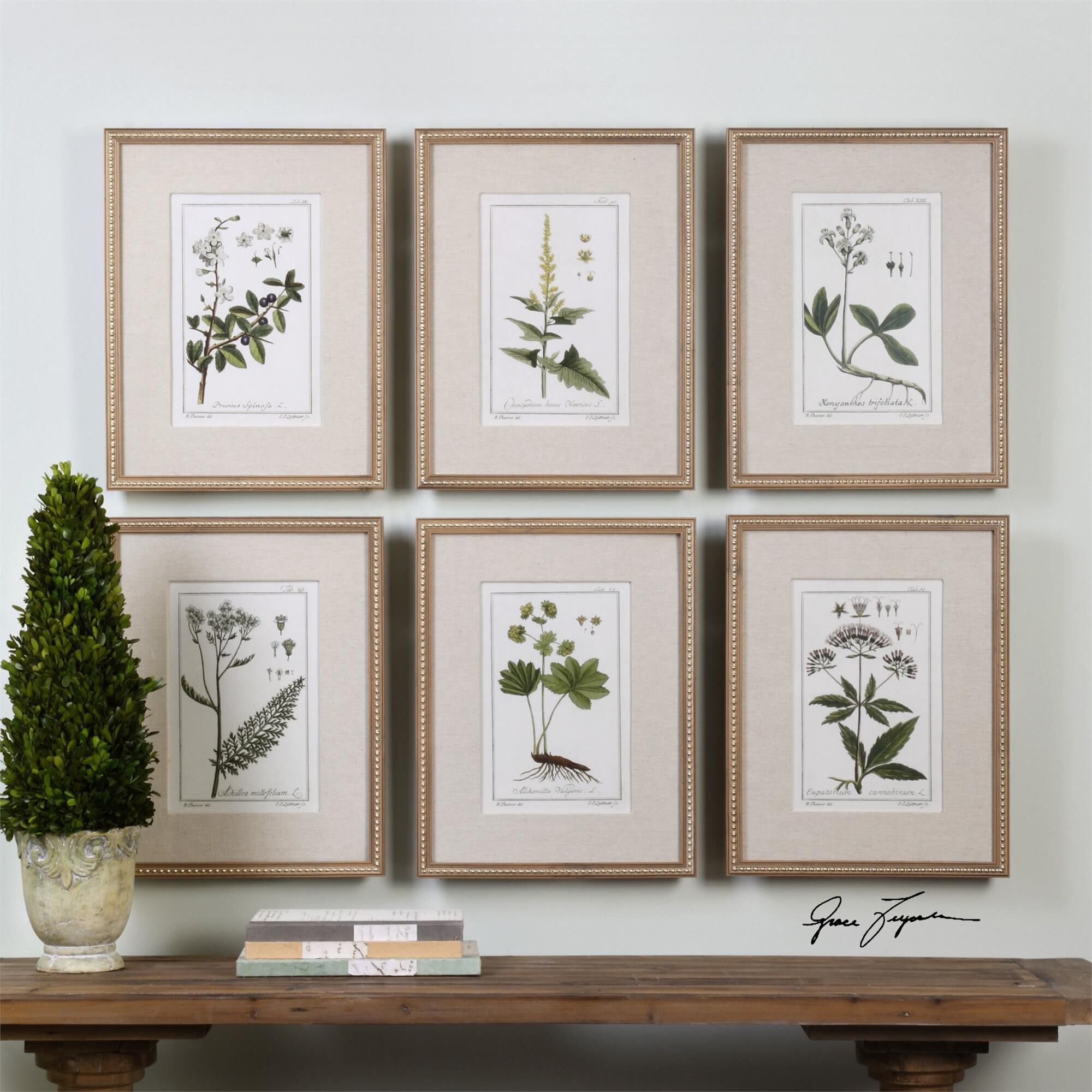 Green Floral Botanical Study Print