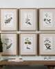 Green Floral Botanical Study Print