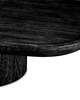 Rouault 55 Inch Coffee Table
