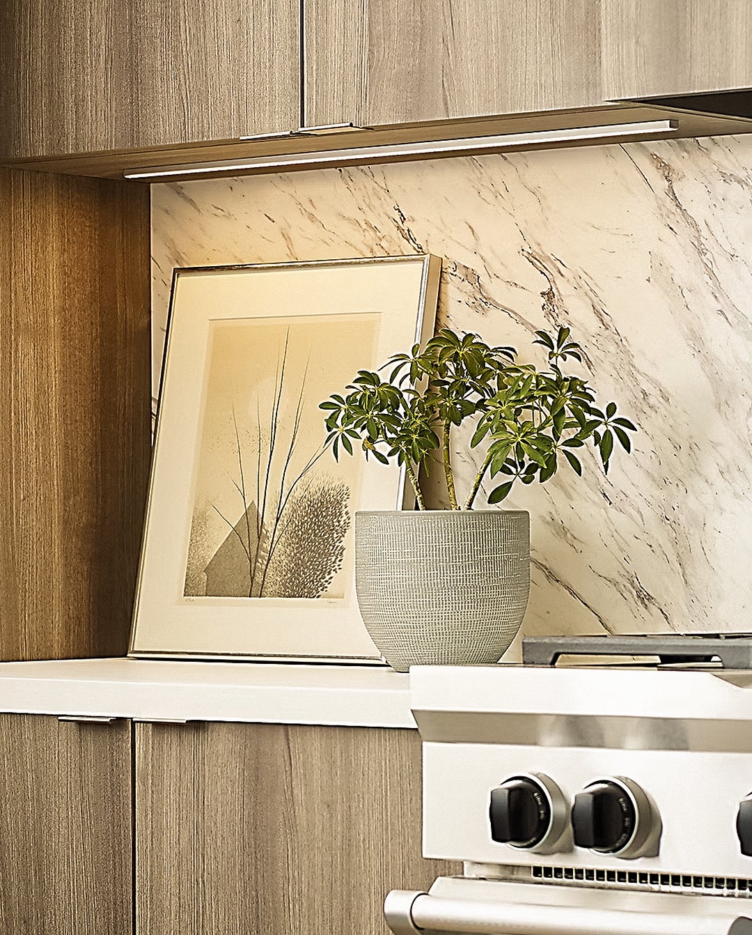 Cabinet & Accent Lighting
