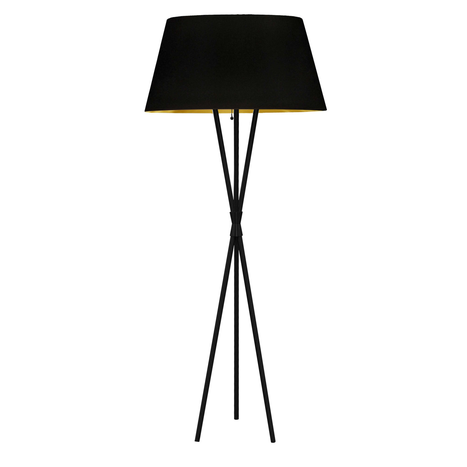 Gabriela Matte Black With Black Gold One-Light Floor Lamp