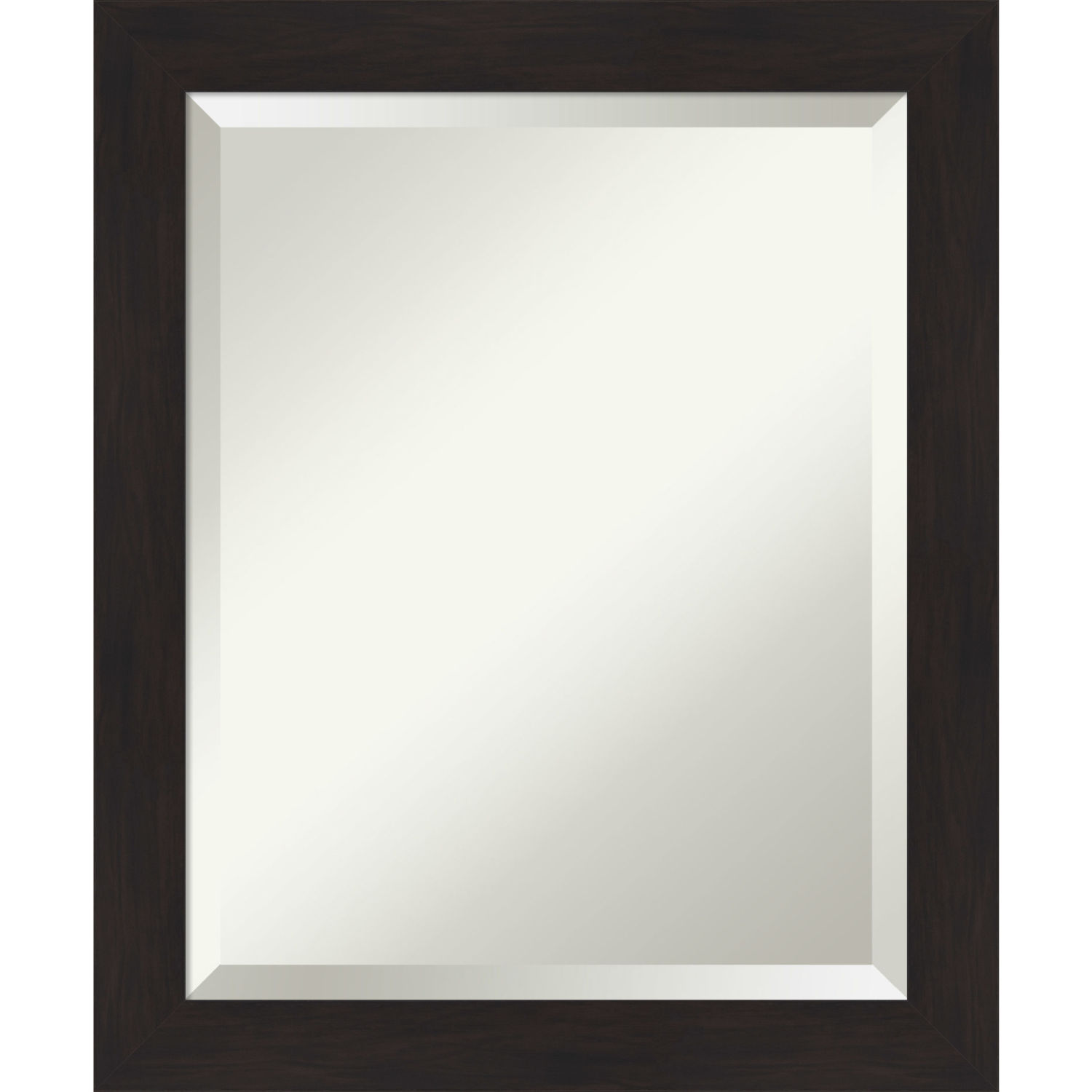 Espresso 20W X 24H-Inch Bathroom Vanity Wall Mirror