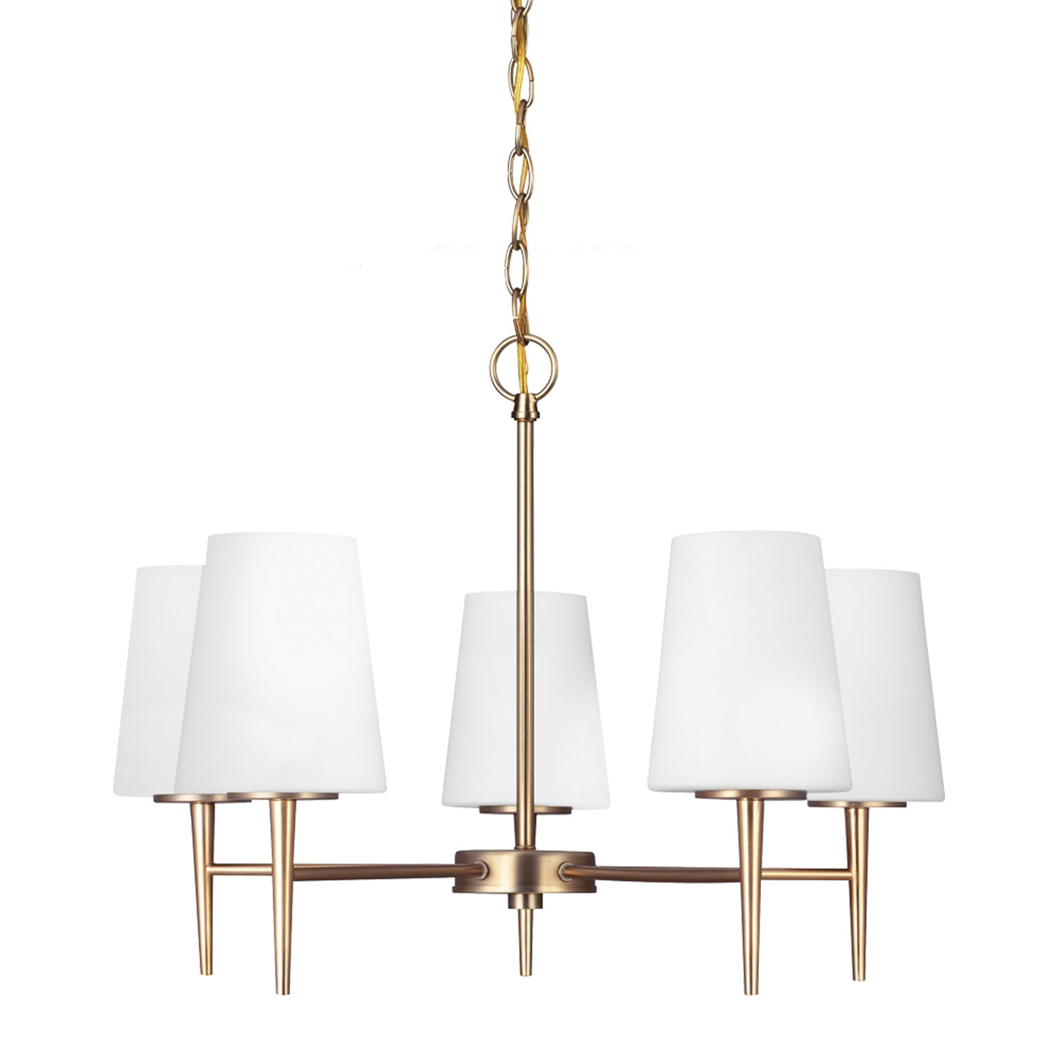 Sea Gull Lighting Four-Light Bound Glass Ceiling in Polished Brass 7662-02 